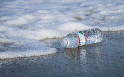 Com podem reduir l’ús de plàstic al dia a dia?