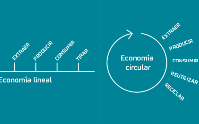 ¿Qué es la economía circular y como afecta a los consumidores?